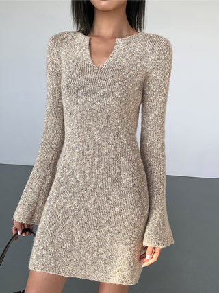 Bodycon V-neck Long Sleeve Mini Knit Dress