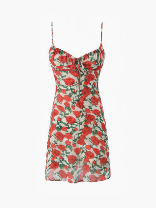 Bulgaria Roses Floral Backless Mini Dress