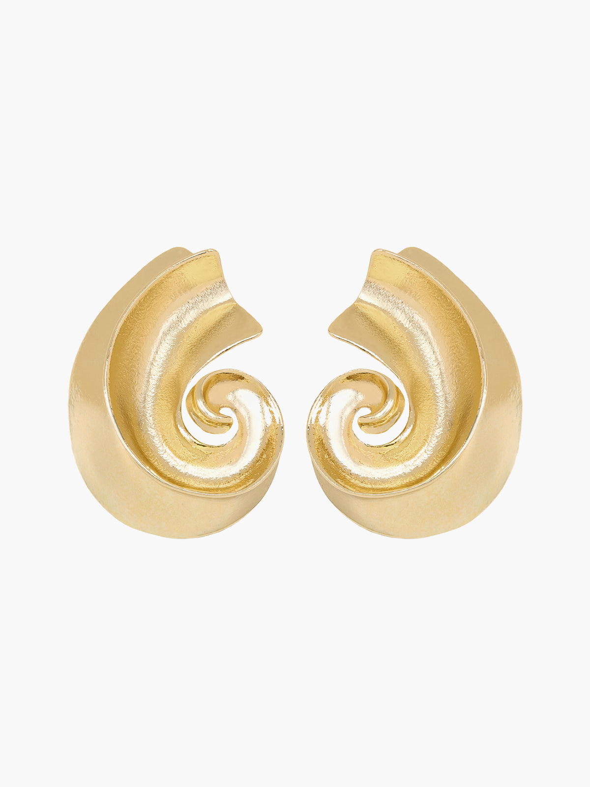 Conch Stud Earrings