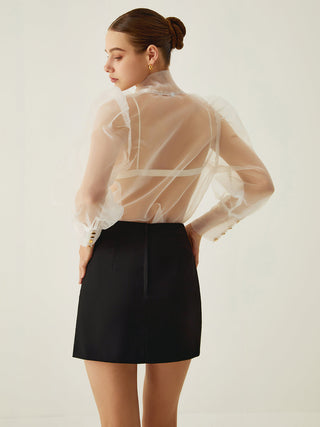 Long Sleeve Sheer Shirt