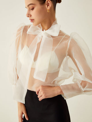 Chemise transparente à manches longues