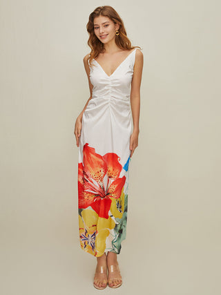 Print V Neck Halter Backless Long Dress