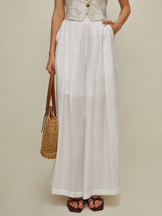 Semi-Sheer Pleated Wide Leg Pants